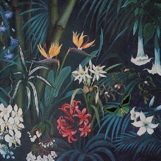 Tropical rainforest flowers