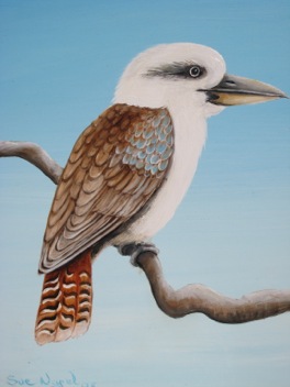 Kookaburra with blue sky