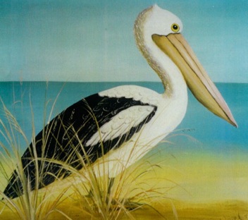 Pelican resting by the sea