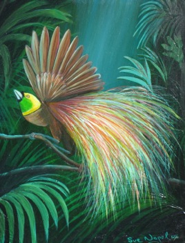 Bird of Paradise