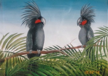 Black Parrots