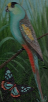 Golden Shouldered Parrot