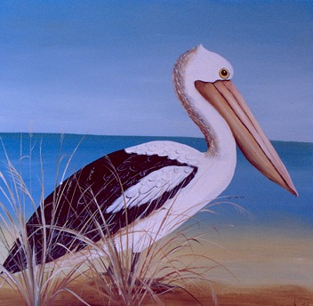 Pelican