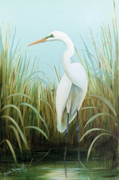 Large Egret