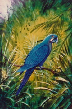 Tropical blue parrot